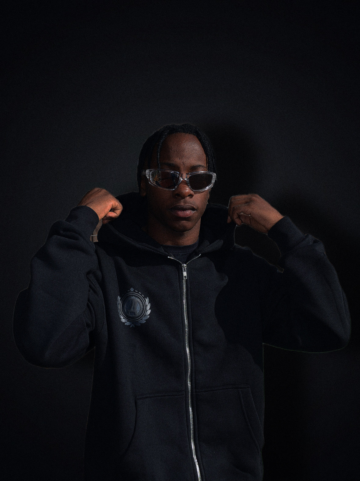 Emblem heavy ziphoodie